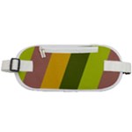 Autmn Stripes Colors Geometric Print Design Rounded Waist Pouch