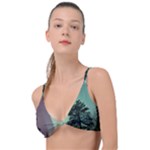 Silhouette Of Aurora Borealis Knot Up Bikini Top