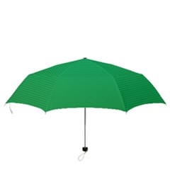 Folding Umbrella 