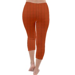 Capri Winter Leggings  