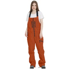 Women s Front Zip Ski And Snowboard Bib Pants 