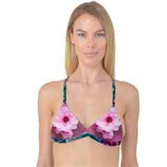 Reversible Tri Bikini Top 