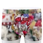 Pattern Kitten Christmas Men s Boxer Briefs