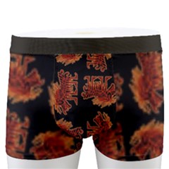 Men s Boxer Briefs 