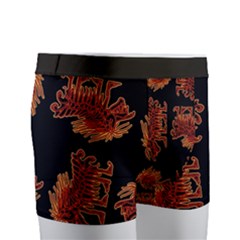 Men s Boxer Briefs 