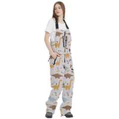 Women s Front Zip Ski And Snowboard Bib Pants 