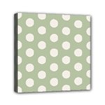 Polk Dots Seamless Pattern Mini Canvas 6  x 6  (Stretched)