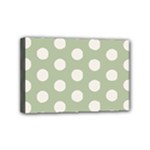 Polk Dots Seamless Pattern Mini Canvas 6  x 4  (Stretched)