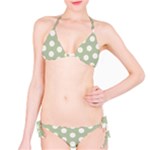 Polk Dots Seamless Pattern Classic Bikini Set