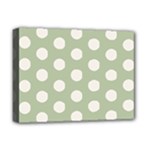 Polk Dots Seamless Pattern Deluxe Canvas 16  x 12  (Stretched) 