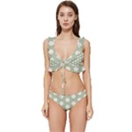 Polk Dots Seamless Pattern Low Cut Ruffle Edge Bikini Set