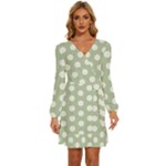 Polk Dots Seamless Pattern Long Sleeve Waist Tie Ruffle Velvet Dress