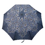 Nature Charm Drawing  Folding Umbrellas