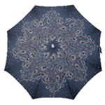 Nature Charm Drawing  Straight Umbrellas