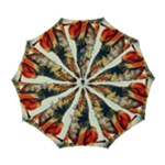 Img 1220 Automatic Folding Umbrella with Case (Large)