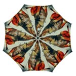 Img 1220 Automatic Folding Umbrella with Case (Medium)