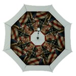 Img 1224 Automatic Folding Umbrella with Case (Medium)