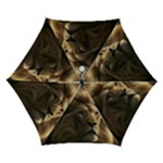 Img 1226 Automatic Folding Umbrella with Case (Small)