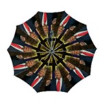 Img 1414 Automatic Folding Umbrella with Case (Large)