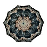 Img 1411 Automatic Folding Umbrella with Case (Large)