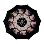 Img 1416 Automatic Folding Umbrella with Case (Large)