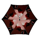 Img 1415 Automatic Folding Umbrella with Case (Small)