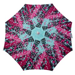 Straight Umbrella 