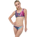 Colorful Splashes Grunge, Abstract Art The Little Details Bikini Set