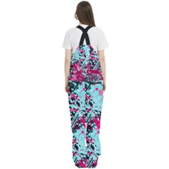 Women s Front Zip Ski And Snowboard Bib Pants 