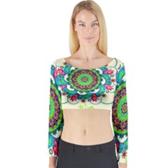 Long Sleeve Crop Top 