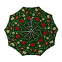 Automatic Folding Umbrella with Case (Large) 