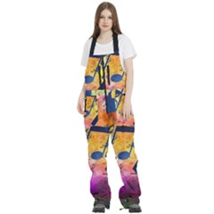 Women s Front Zip Ski And Snowboard Bib Pants 