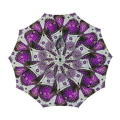 Purple Butterflies, Abstract, Floral, Flowers Automatic Folding Umbrella with Case (Large) from ArtsNow.com