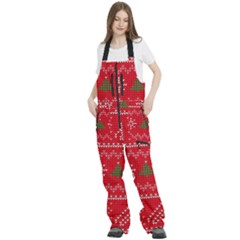 Women s Front Zip Ski And Snowboard Bib Pants 