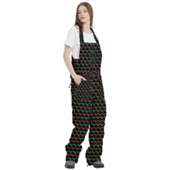 Women s Front Zip Ski And Snowboard Bib Pants 