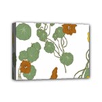 Nasturtium Flowers Plant Leaves Mini Canvas 7  x 5  (Stretched)