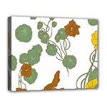 Nasturtium Flowers Plant Leaves Canvas 14  x 11  (Stretched)