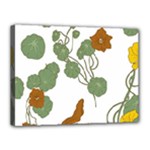 Nasturtium Flowers Plant Leaves Canvas 16  x 12  (Stretched)