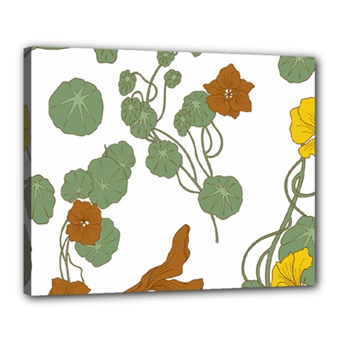 Nasturtium Flowers Plant Leaves Canvas 20  x 16  (Stretched) from ArtsNow.com