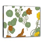 Nasturtium Flowers Plant Leaves Canvas 20  x 16  (Stretched)