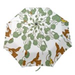 Nasturtium Flowers Plant Leaves Folding Umbrellas