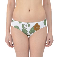 Hipster Bikini Bottoms 