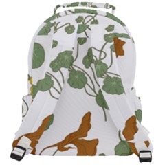 Rounded Multi Pocket Backpack 