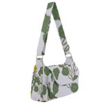 Nasturtium Flowers Plant Leaves Multipack Bag