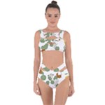 Nasturtium Flowers Plant Leaves Bandaged Up Bikini Set 