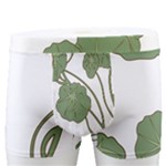 Nasturtium Flowers Plant Leaves Men s Boxer Briefs