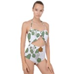 Nasturtium Flowers Plant Leaves Scallop Top Cut Out Swimsuit