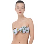 Nasturtium Flowers Plant Leaves Classic Bandeau Bikini Top 