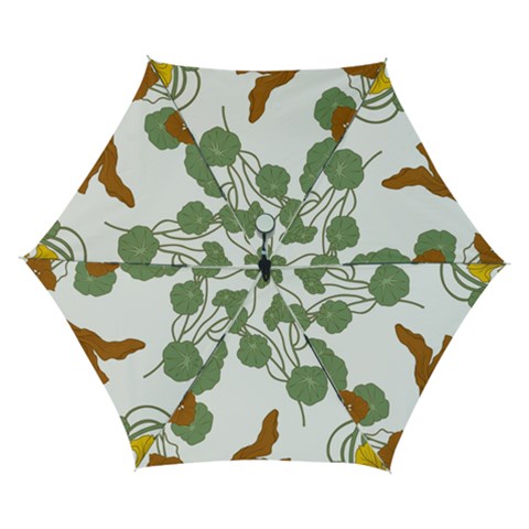 Nasturtium Flowers Plant Leaves Automatic Folding Umbrella with Case (Small) from ArtsNow.com