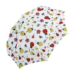 Folding Umbrella 